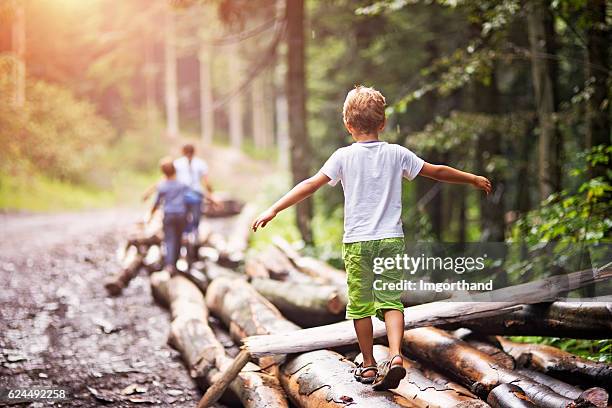 bambini che si equilibrare sui tronchi d'albero - bambini camminano foto e immagini stock