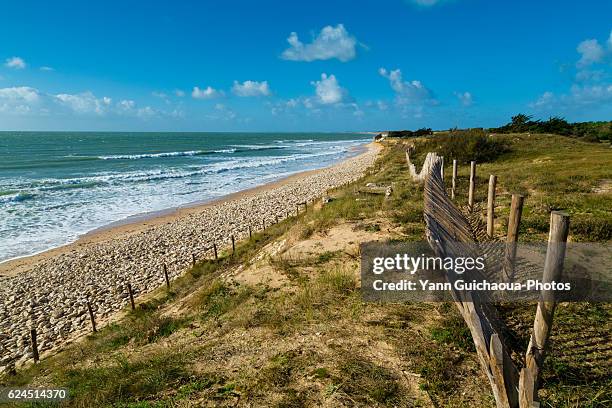 la salee beach at sainte marie de re,ile de re, poitou charente, charente maritime, france - charente maritime stock pictures, royalty-free photos & images