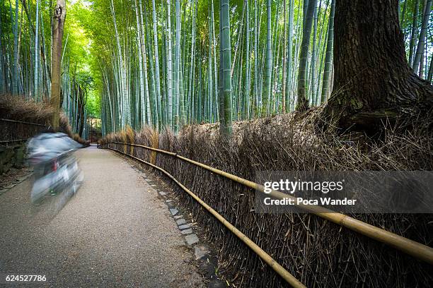 bamboo forest in arashiyama, kyoto - arashiyama stock pictures, royalty-free photos & images