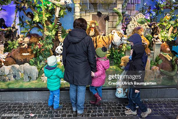 Feast for children's eyes - Christmas decoration with stuffed animals in the shop window of a department store in Bonn.