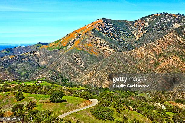 los padres national forest:santa barbara county,ca - los padres national forest stock pictures, royalty-free photos & images