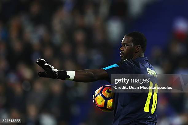 Goalkeeper, Sylvain Gbohouo of The Ivory Coast looks on during the International Friendly match between France and Ivory Coast held at Stade Felix...