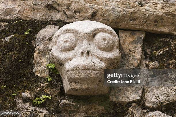 mayan ruins at coba - maya maya stock pictures, royalty-free photos & images