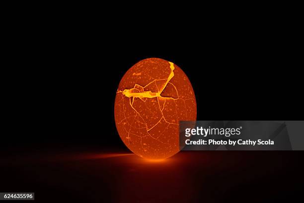 glowing egg - egg hatch stock-fotos und bilder