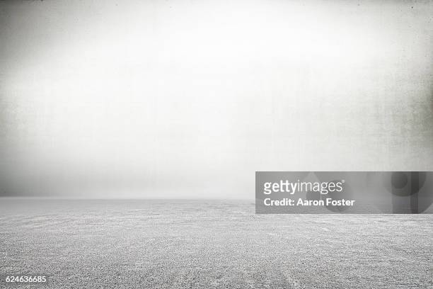 studio background white - white background no people stock pictures, royalty-free photos & images