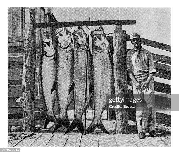 antike punktgedruckte fotografie von hobbys und sport: tarpon angeln - portrait fisherman stock-grafiken, -clipart, -cartoons und -symbole
