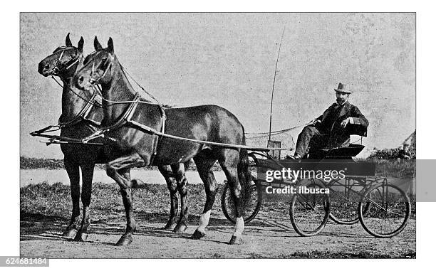 antique dotprinted photograph of hobbies and sports: trotting horse cart - horsedrawn 幅插畫檔、美工圖案、卡通及圖標