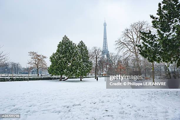 eiffel tower in paris under the snow from the trocadero gardens - trocadero on ice stock pictures, royalty-free photos & images