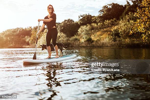 paddleboarding donna con cane - paddle surf foto e immagini stock