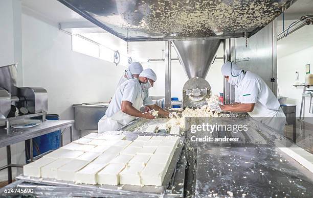 group of workers at a dairy factory - dairy factory stock pictures, royalty-free photos & images