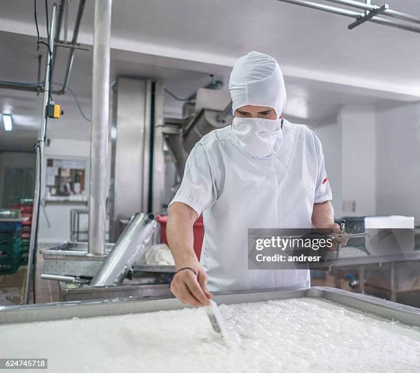 homem trabalhando em uma fábrica de laticínios - laticínio - fotografias e filmes do acervo