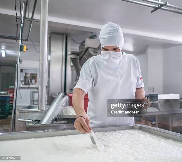 man working at a dairy factory - kalcium bildbanksfoton och bilder