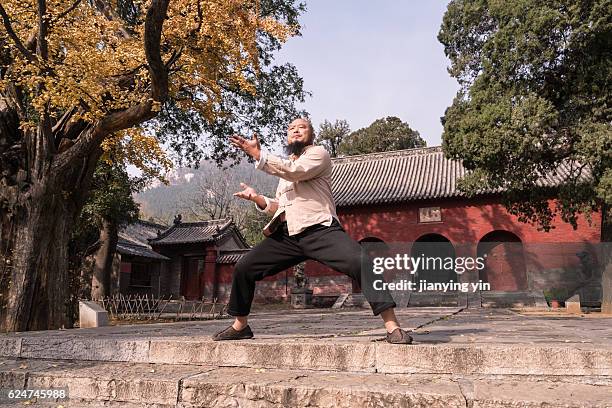 shaolin monk - monks of shaolin temple stock pictures, royalty-free photos & images