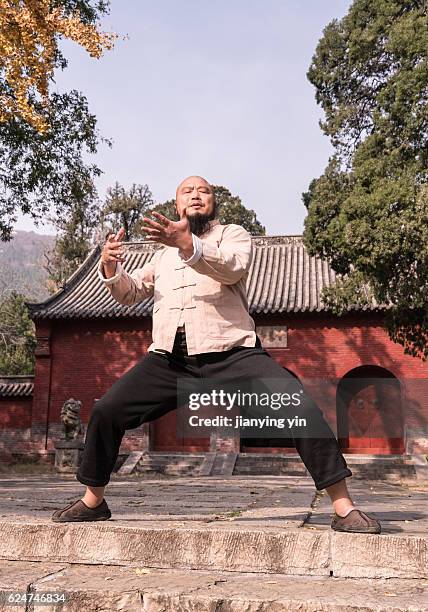 shaolin monk - monks of shaolin temple stock pictures, royalty-free photos & images