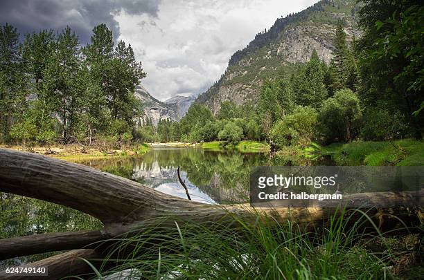 sentinel beach, yosemite valley - fallen tree stock pictures, royalty-free photos & images