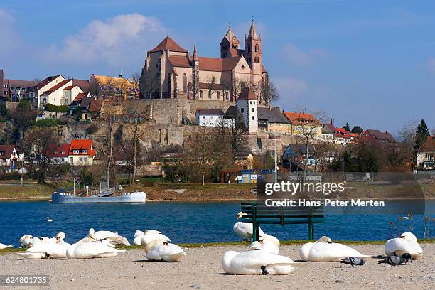 breisach, cathedral st. stephansmünster - breisach germany stock pictures, royalty-free photos & images