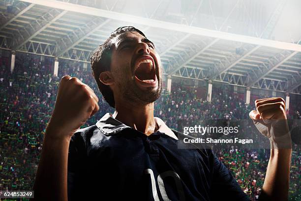 cheering athlete in sports stadium - aficionado fotografías e imágenes de stock