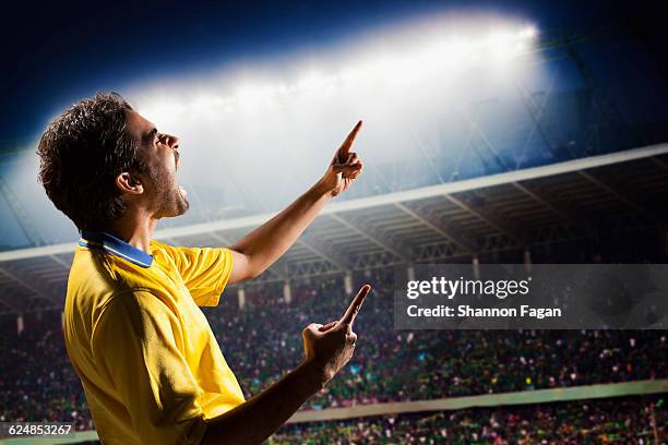 athlete pointing to crowd in stadium - china fans cheer stock pictures, royalty-free photos & images