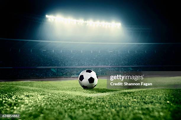 soccer ball in sports field in stadium at night - floodlit stock pictures, royalty-free photos & images