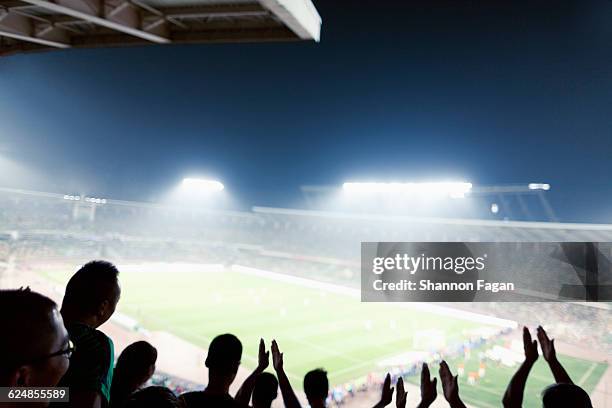 silhouette of crowd cheering in stadium at night - 応援 ストックフォトと画像