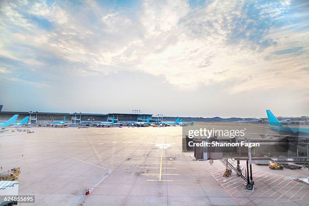 empty tarmac at airport gate at sunset - incheon 個照片及圖片檔