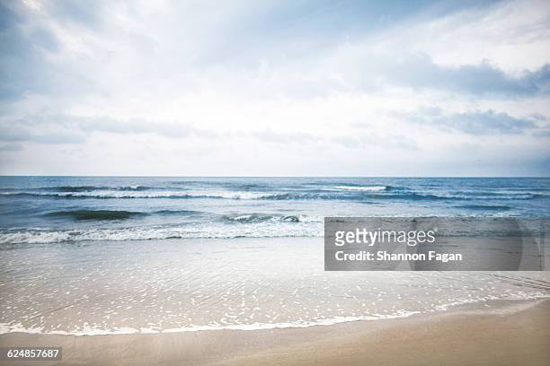 shoreline view of beach and ocean - hilton head stock pictures, royalty-free photos & images