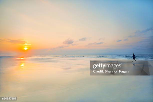 person walking on the beach at sunrise - horizon over water 個照片及圖片檔