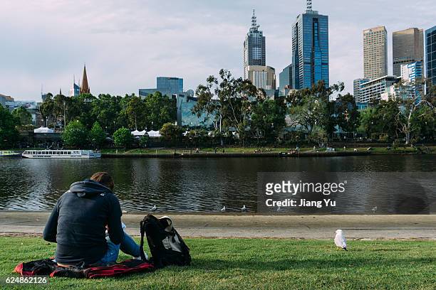 sitting along the river with birds - federation square melbourne stock pictures, royalty-free photos & images