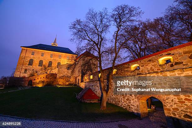 medieval castle akershus fortress in oslo - akershus fortress stock-fotos und bilder