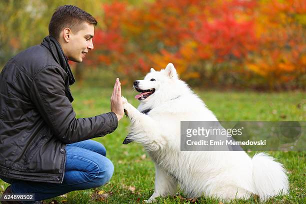 dog giving a young man a high five - human hand pet paw stock pictures, royalty-free photos & images