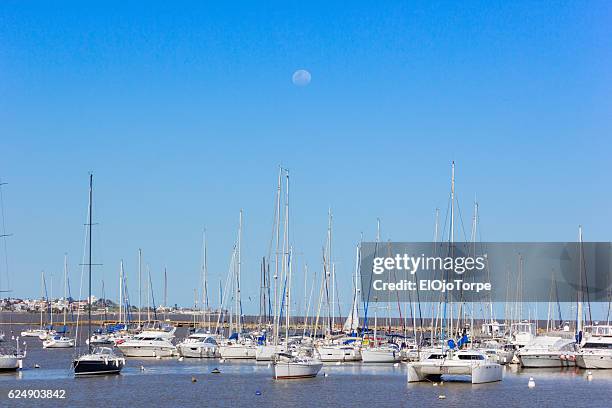 moon over puertito del buceo, montevideo, uruguay - buceo stock pictures, royalty-free photos & images