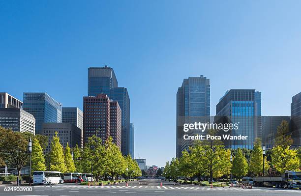 urban street of tokyo - county 個照片及圖片檔