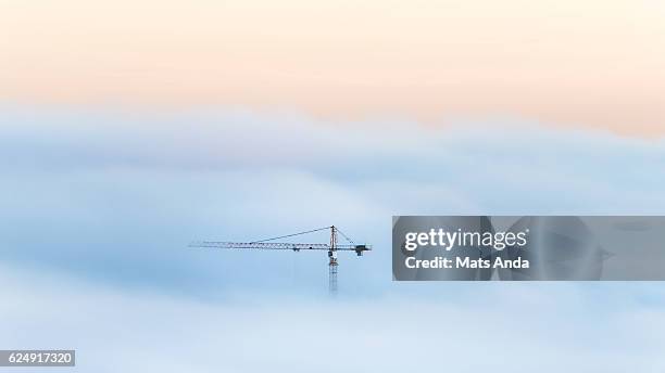 crane in a sea of fog - fog lifting stock pictures, royalty-free photos & images