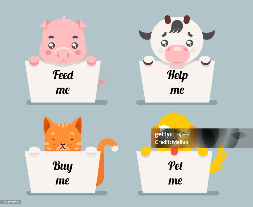 Beggar Animals Help Cat Dog Pig Cow Cartoon Flat Design High-Res Vector  Graphic - Getty Images