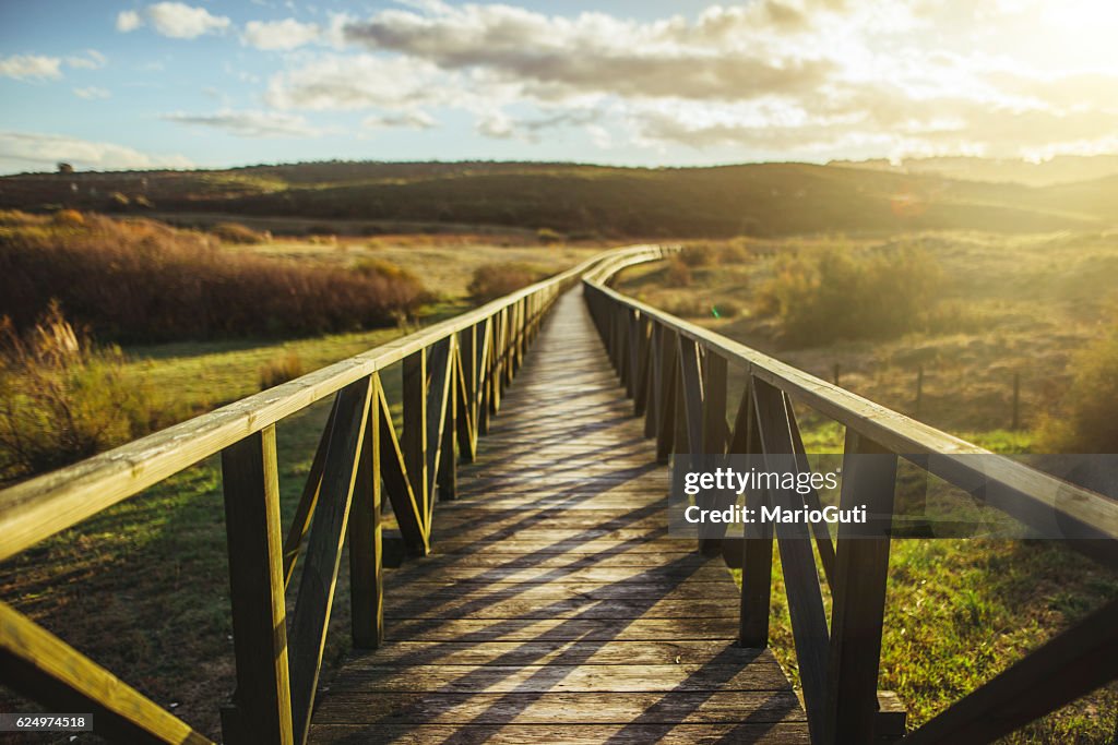 Wooden pathway