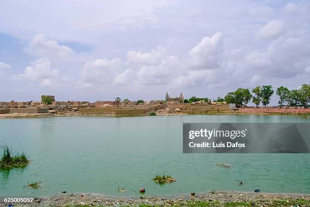 niger river and mopti mosque - niger river imagens e fotografias de stock