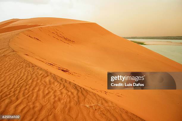 dune rose sand dune - region gao stock-fotos und bilder