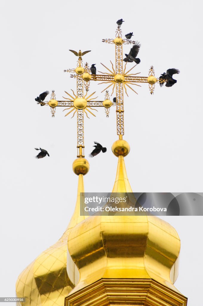 Birds and crosses of the Kiev Pechersk Lavra, Kiev, Ukraine