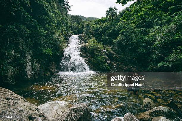 man with jungle waterfall in ishigaki island national park, japan - tropical forest stock pictures, royalty-free photos & images