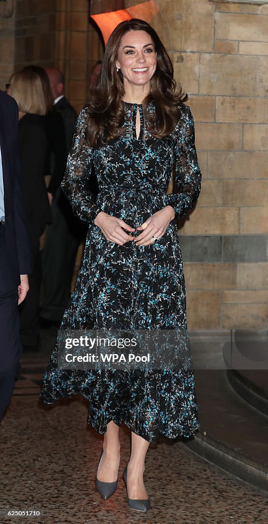 The Duchess Of Cambridge Attends A Tea Party In Honour Of 'Dippy' The Dinosaur At The Natural History Museum