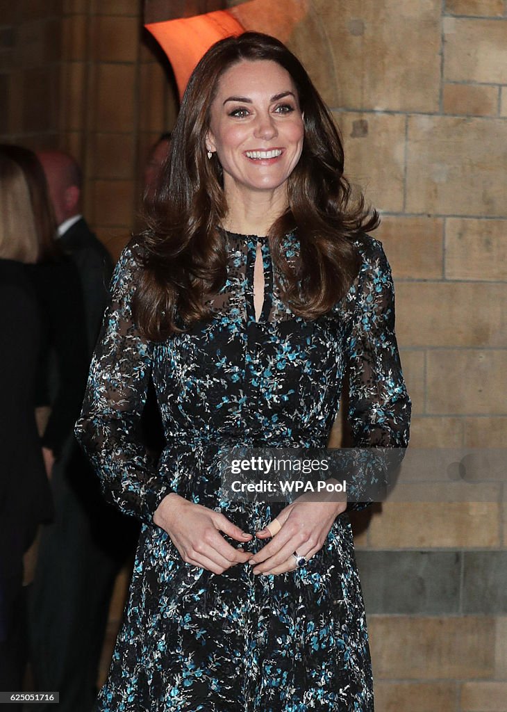 The Duchess Of Cambridge Attends A Tea Party In Honour Of 'Dippy' The Dinosaur At The Natural History Museum