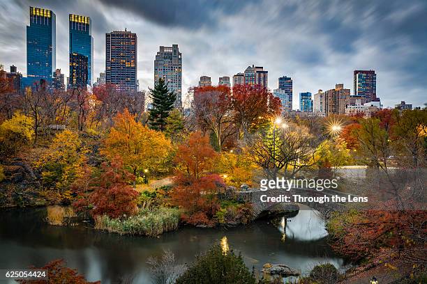 new york central park during autumn - autumn in new york foto e immagini stock