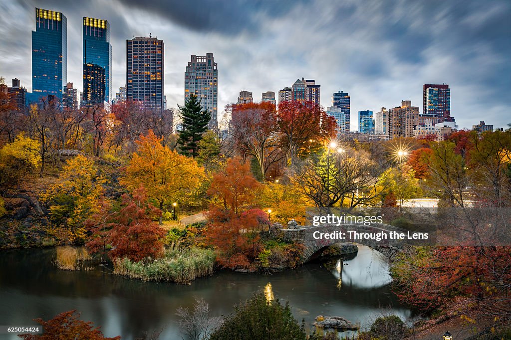 New York Central Park during Autumn