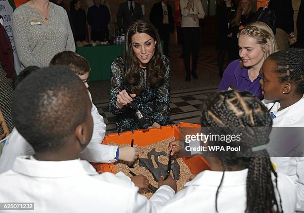 Catherine, Duchess of Cambridge attends a children's tea party with pupils from Oakington Manor Primary School in Wembley, at the Natural History...