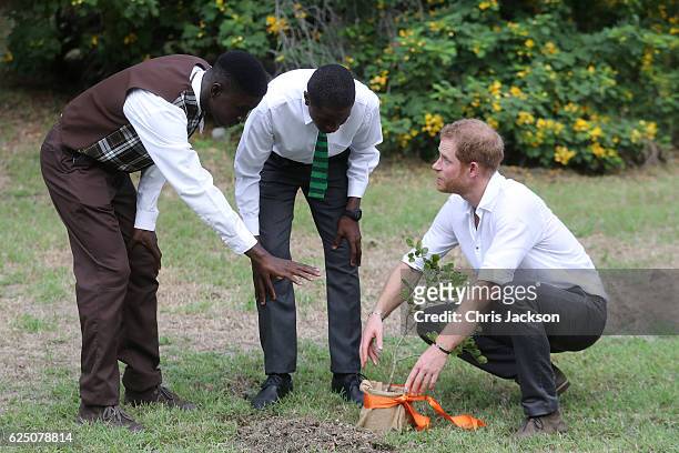 Prince Harry plants a tree during the unveiling of the dedication to The Queen's Commonwealth Canopy and Arbour Day Fair at Queen Victoria Park...