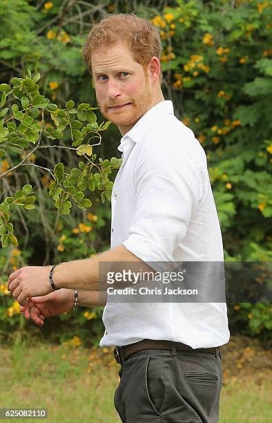 Prince Harry plants a tree during the unveiling of the dedication to The Queen's Commonwealth Canopy and Arbour Day Fair at Queen Victoria Park...