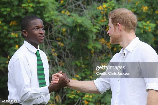 Prince Harry arrives for the unveiling of the dedication to The Queen's Commonwealth Canopy and Arbour Day Fair at Queen Victoria Park Botanical...