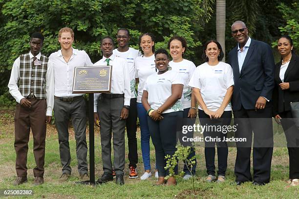 Prince Harry unveils the dedication to The Queen's Commonwealth Canopy during Arbour Day Fair at Queen Victoria Park Botanical Gardens on the third...
