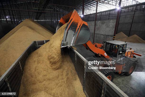 Container Loading Rice Rice Storage Containers Photos and Premium High Res Pictures - Getty Images