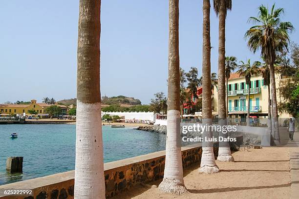 gorée island, dakar - dakar senegal stock-fotos und bilder